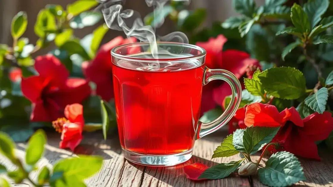 Como o chá de hibisco age no organismo Como o chá de hibisco age no organismo